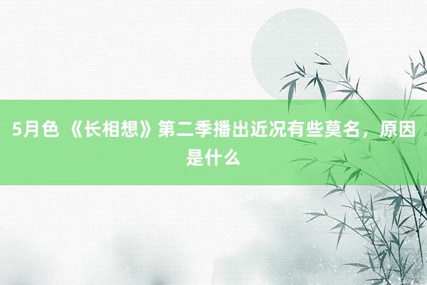 5月色 《长相想》第二季播出近况有些莫名，原因是什么