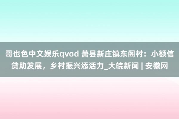 哥也色中文娱乐qvod 萧县新庄镇东阁村：小额信贷助发展，乡村振兴添活力_大皖新闻 | 安徽网