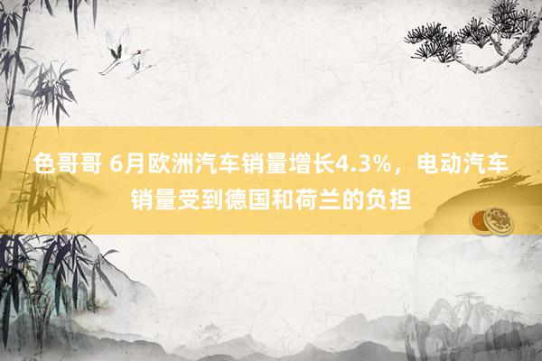 色哥哥 6月欧洲汽车销量增长4.3%，电动汽车销量受到德国和荷兰的负担