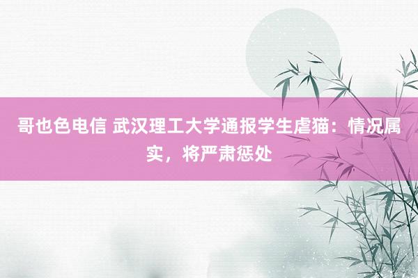 哥也色电信 武汉理工大学通报学生虐猫：情况属实，将严肃惩处