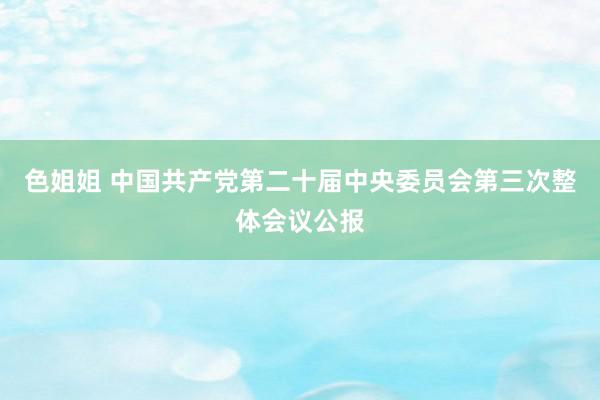 色姐姐 中国共产党第二十届中央委员会第三次整体会议公报