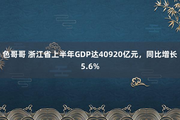 色哥哥 浙江省上半年GDP达40920亿元，同比增长5.6%