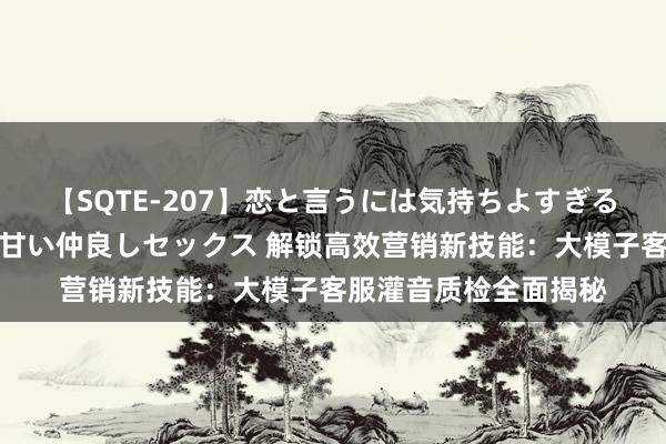 【SQTE-207】恋と言うには気持ちよすぎる。清らかな美少女と甘い仲良しセックス 解锁高效营销新技能：大模子客服灌音质检全面揭秘