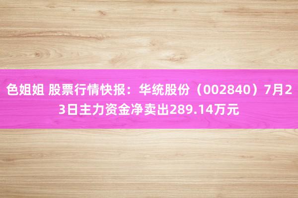 色姐姐 股票行情快报：华统股份（002840）7月23日主力资金净卖出289.14万元