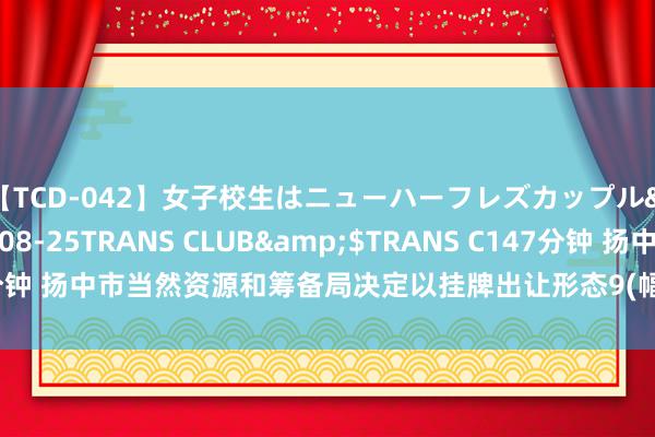 【TCD-042】女子校生はニューハーフレズカップル</a>2010-08-25TRANS CLUB&$TRANS C147分钟 扬中市当然资源和筹备局决定以挂牌出让形态9(幅)地块的国有地皮使用权