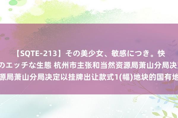 【SQTE-213】その美少女、敏感につき。快感が止まらない女の子のエッチな生態 杭州市主张和当然资源局萧山分局决定以挂牌出让款式1(幅)地块的国有地皮使用权