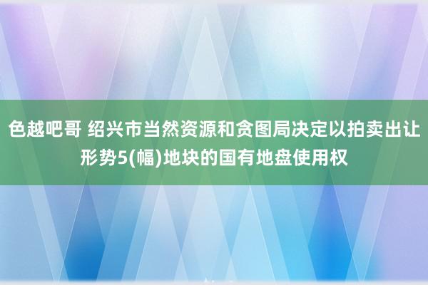 色越吧哥 绍兴市当然资源和贪图局决定以拍卖出让形势5(幅)地块的国有地盘使用权