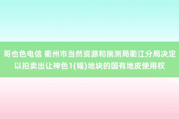 哥也色电信 衢州市当然资源和揣测局衢江分局决定以拍卖出让神色1(幅)地块的国有地皮使用权