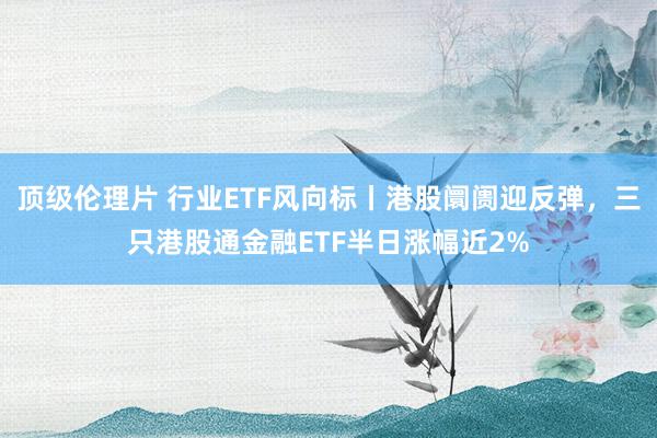 顶级伦理片 行业ETF风向标丨港股阛阓迎反弹，三只港股通金融ETF半日涨幅近2%