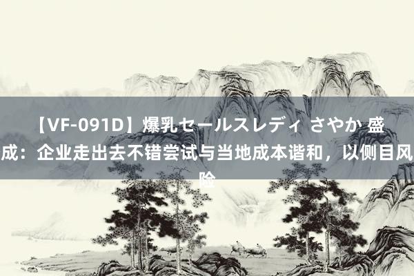 【VF-091D】爆乳セールスレディ さやか 盛松成：企业走出去不错尝试与当地成本谐和，以侧目风险