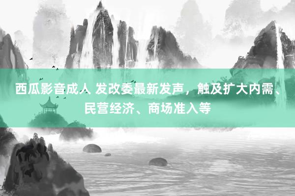 西瓜影音成人 发改委最新发声，触及扩大内需、民营经济、商场准入等