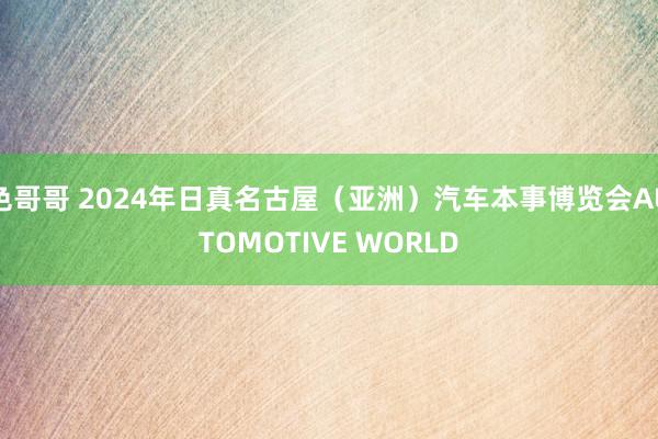 色哥哥 2024年日真名古屋（亚洲）汽车本事博览会AUTOMOTIVE WORLD