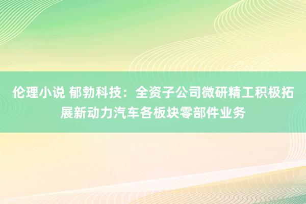 伦理小说 郁勃科技：全资子公司微研精工积极拓展新动力汽车各板块零部件业务