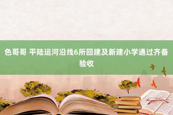 色哥哥 平陆运河沿线6所回建及新建小学通过齐备验收