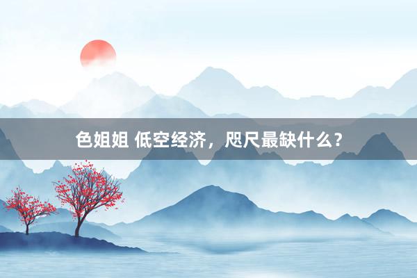 色姐姐 低空经济，咫尺最缺什么？