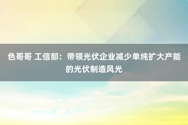 色哥哥 工信部：带领光伏企业减少单纯扩大产能的光伏制造风光