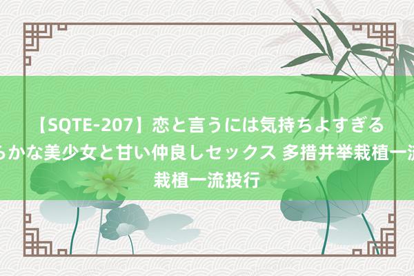 【SQTE-207】恋と言うには気持ちよすぎる。清らかな美少女と甘い仲良しセックス 多措并举栽植一流投行