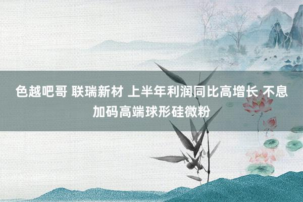 色越吧哥 联瑞新材 上半年利润同比高增长 不息加码高端球形硅微粉