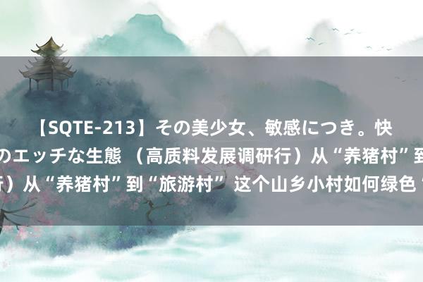 【SQTE-213】その美少女、敏感につき。快感が止まらない女の子のエッチな生態 （高质料发展调研行）从“养猪村”到“旅游村” 这个山乡小村如何绿色“回身”？