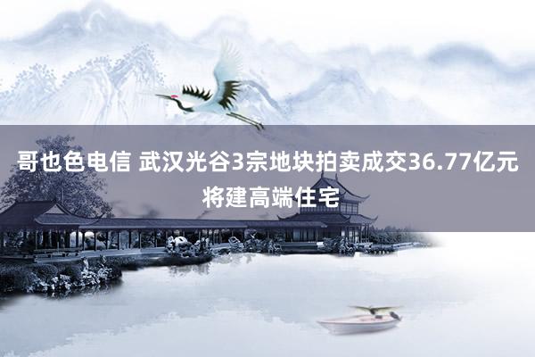 哥也色电信 武汉光谷3宗地块拍卖成交36.77亿元 将建高端住宅