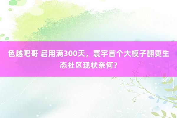 色越吧哥 启用满300天，寰宇首个大模子翻更生态社区现状奈何？