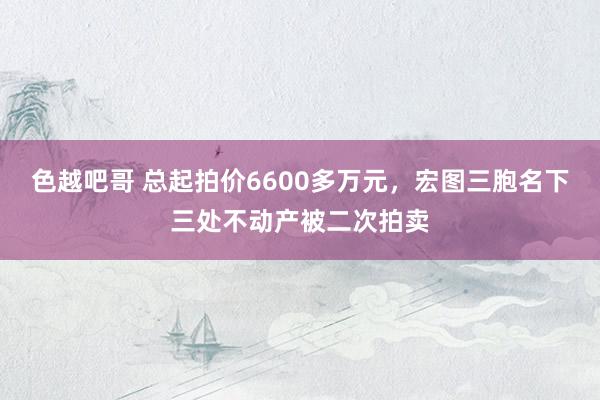 色越吧哥 总起拍价6600多万元，宏图三胞名下三处不动产被二次拍卖