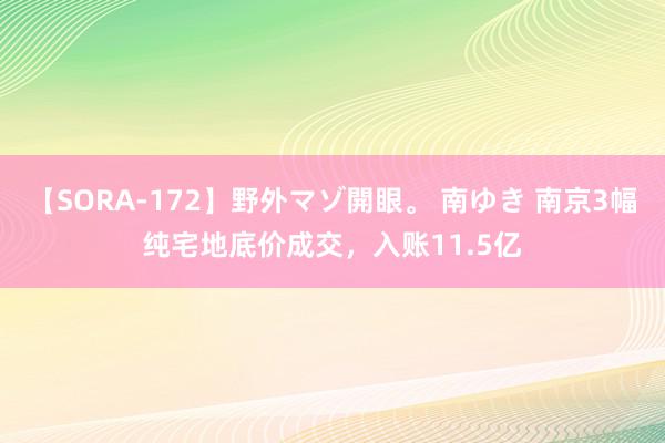 【SORA-172】野外マゾ開眼。 南ゆき 南京3幅纯宅地底价成交，入账11.5亿