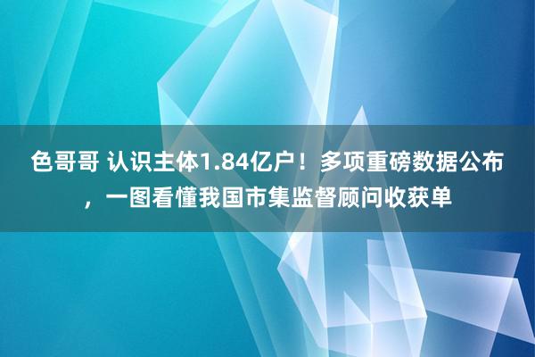 色哥哥 认识主体1.84亿户！多项重磅数据公布，一图看懂我国市集监督顾问收获单