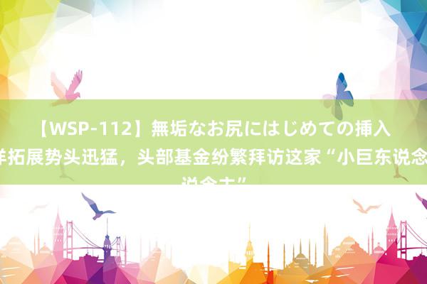 【WSP-112】無垢なお尻にはじめての挿入 外洋拓展势头迅猛，头部基金纷繁拜访这家“小巨东说念主”