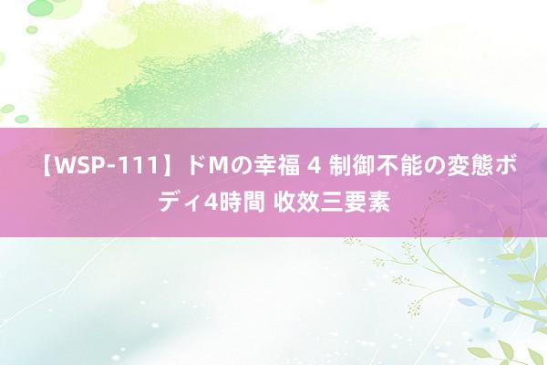 【WSP-111】ドMの幸福 4 制御不能の変態ボディ4時間 收效三要素