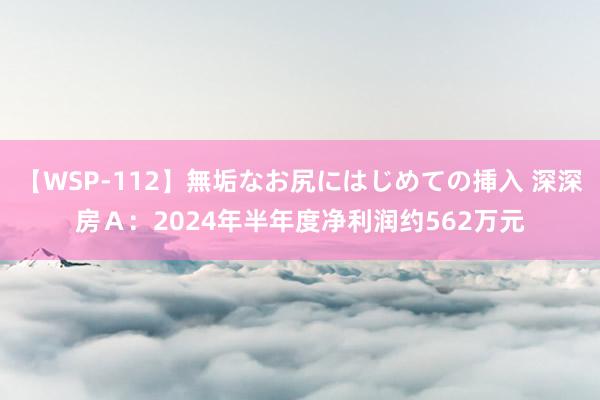 【WSP-112】無垢なお尻にはじめての挿入 深深房Ａ：2024年半年度净利润约562万元