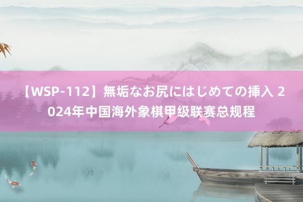 【WSP-112】無垢なお尻にはじめての挿入 2024年中国海外象棋甲级联赛总规程